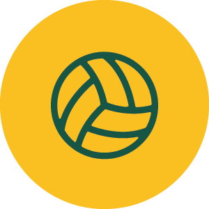 netbal2Asset 21